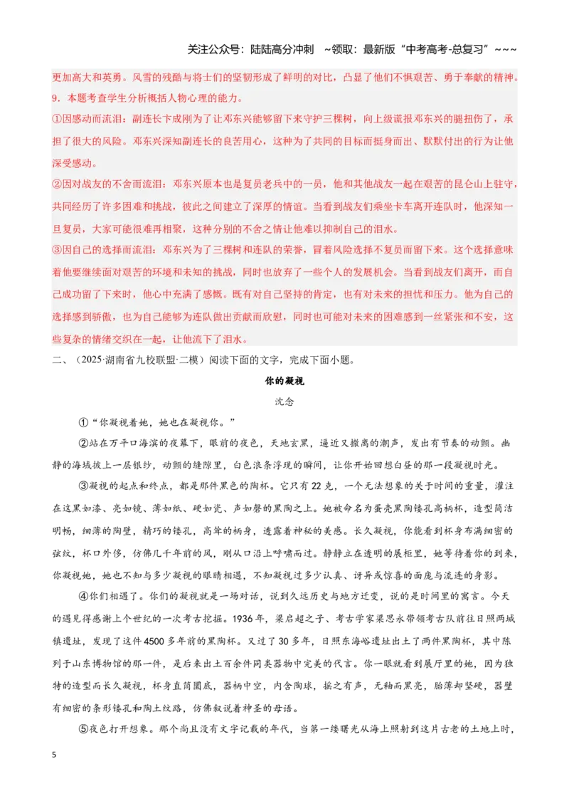 《专题02文学类文本阅读（教师版）_专项复习_2026年-语文专项复习_2025年高考语文二模试题分类汇编（湖南专用）》第5页预览