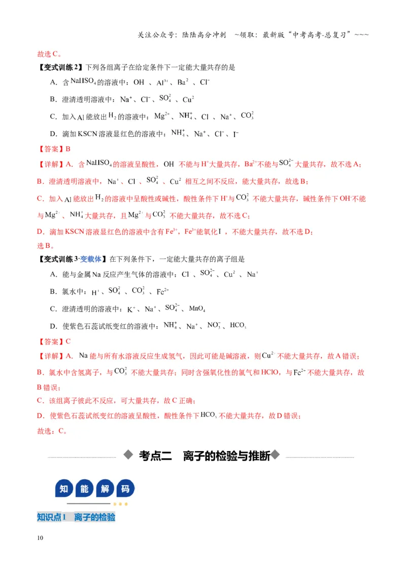 《第03讲离子共存、离子的检验与推断（复习讲义）（湖南专用）（教师版）_05-化学-高考总复习_一轮复习_2026年-化学高考一轮复习_2026年高考化学一轮课件+讲义+练习（湖南专用）-G331》第10页预览