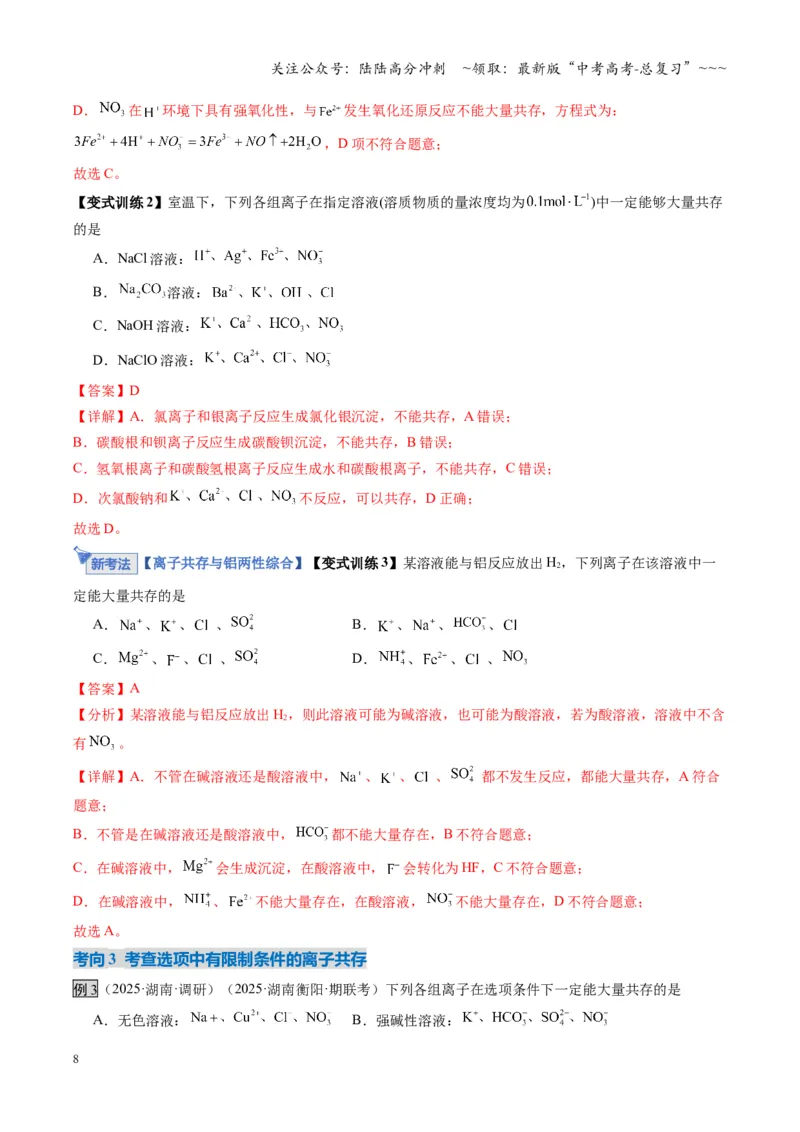 《第03讲离子共存、离子的检验与推断（复习讲义）（湖南专用）（教师版）_05-化学-高考总复习_一轮复习_2026年-化学高考一轮复习_2026年高考化学一轮课件+讲义+练习（湖南专用）-G331》第8页预览