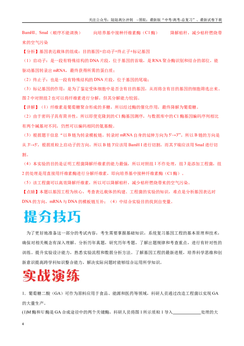 《专题05基因工程（北京卷）（解析版）_06-生物-高考总复习_专项复习_2024年_2024年高考生物考前大题秒杀技巧及专项训练_资料》第4页预览