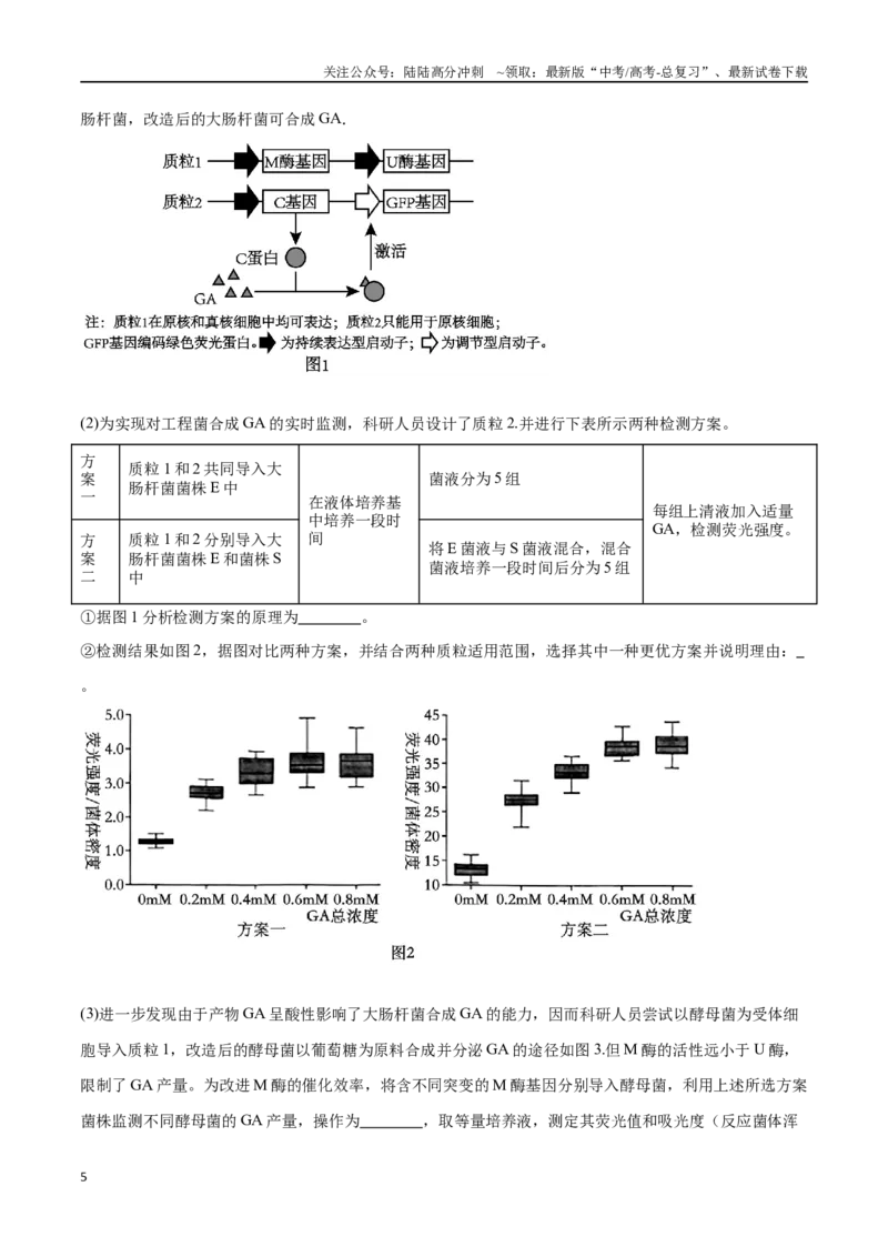 《专题05基因工程（北京卷）（解析版）_06-生物-高考总复习_专项复习_2024年_2024年高考生物考前大题秒杀技巧及专项训练_资料》第5页预览