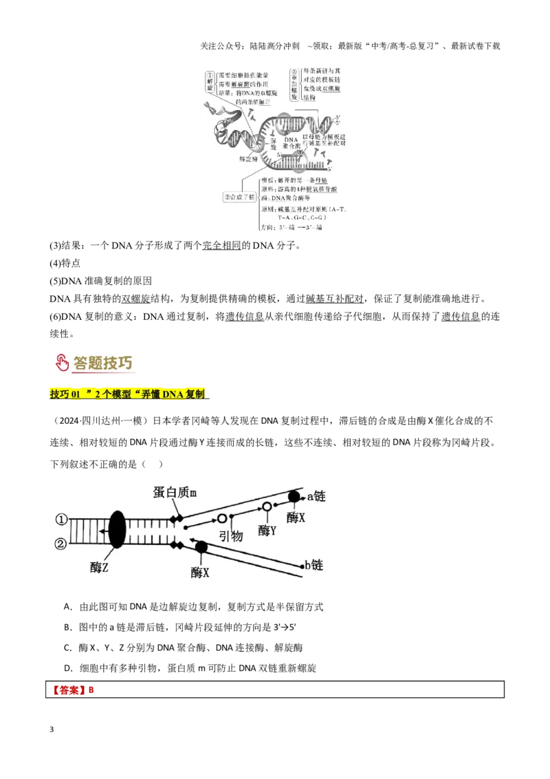《专题05遗传的分子基础（教师版）_06-生物-高考总复习_专项复习_2025年_2025年高考生物答题技巧与答题模板（全国通用）》第3页预览
