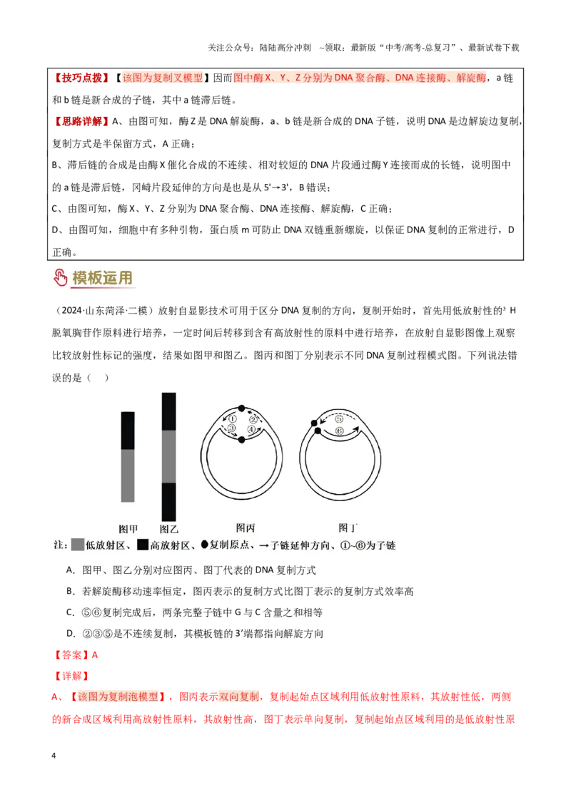 《专题05遗传的分子基础（教师版）_06-生物-高考总复习_专项复习_2025年_2025年高考生物答题技巧与答题模板（全国通用）》第4页预览