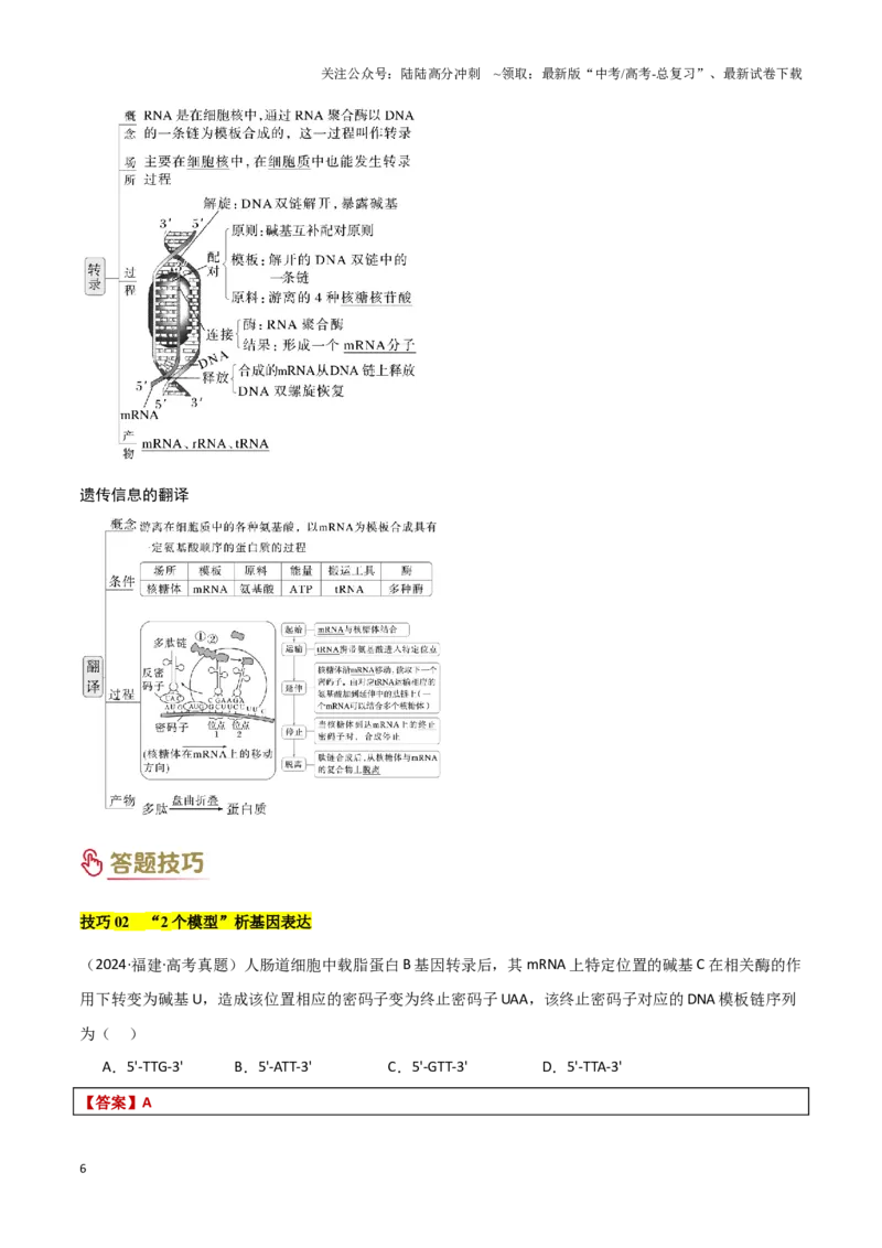 《专题05遗传的分子基础（教师版）_06-生物-高考总复习_专项复习_2025年_2025年高考生物答题技巧与答题模板（全国通用）》第6页预览