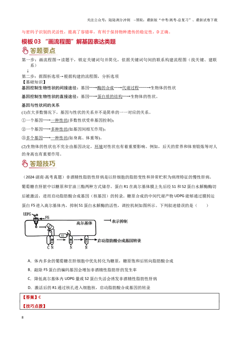 《专题05遗传的分子基础（教师版）_06-生物-高考总复习_专项复习_2025年_2025年高考生物答题技巧与答题模板（全国通用）》第8页预览