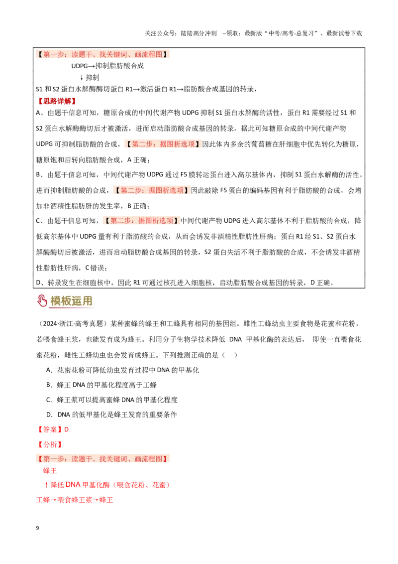 《专题05遗传的分子基础（教师版）_06-生物-高考总复习_专项复习_2025年_2025年高考生物答题技巧与答题模板（全国通用）》第9页预览