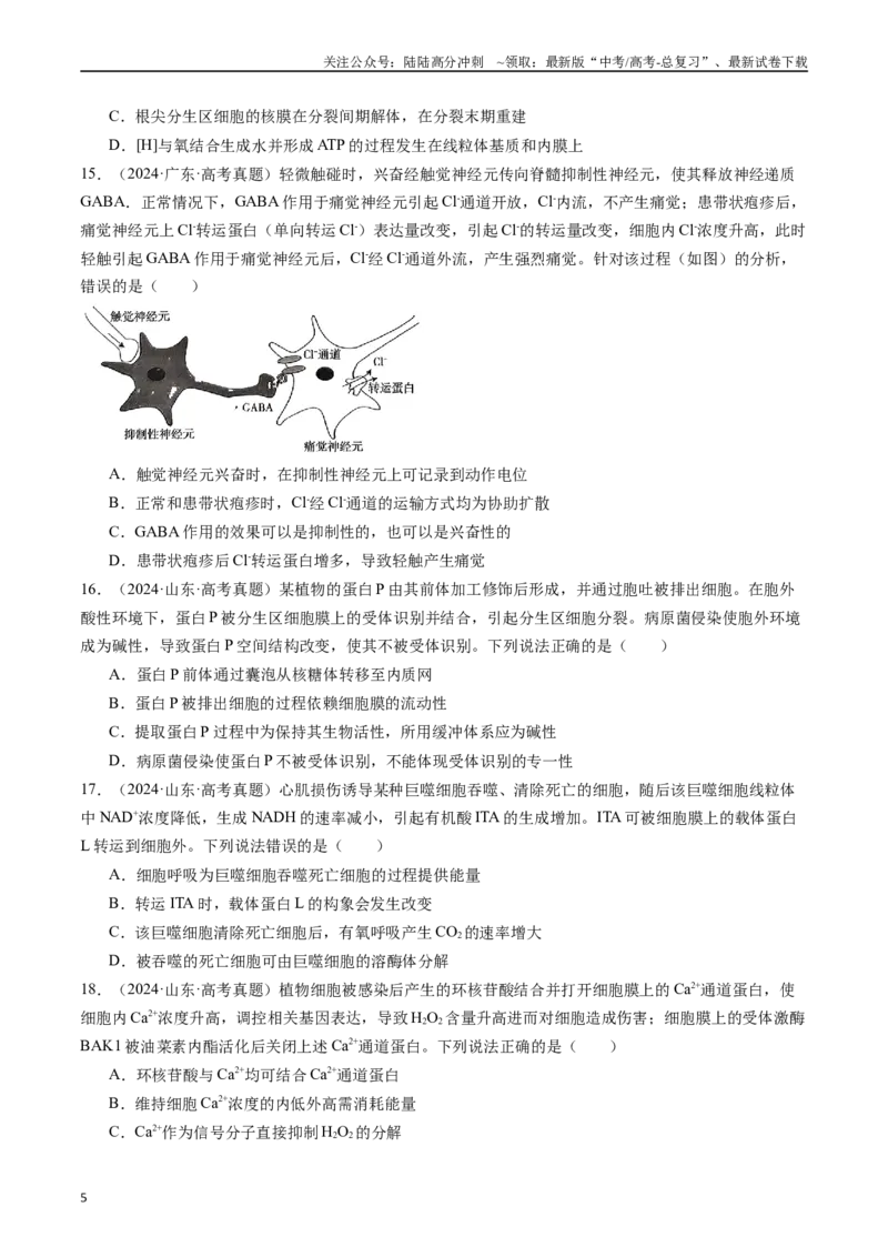 《专题03物质运输-（全国通用）（原卷版）_06-生物-高考总复习_专项复习_2025年_十年（2015-2024）高考生物真题分类汇编（全国通用）》第5页预览
