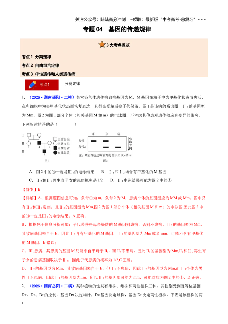 《专题04基因的传递规律（教师版）_06-生物-高考总复习_专项复习_2026年-生物高考专项复习_2026年高考生物二模试题分类汇编（湖南专用）-G292_2026版》第1页预览
