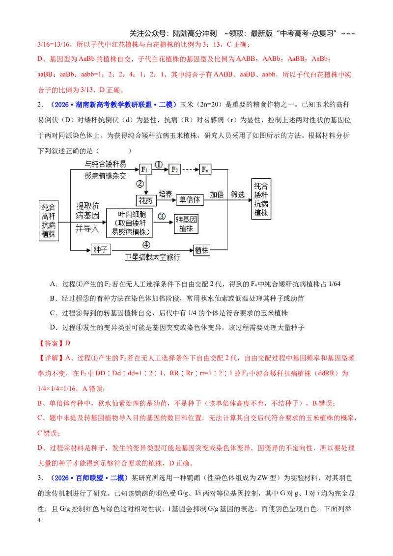 《专题04基因的传递规律（教师版）_06-生物-高考总复习_专项复习_2026年-生物高考专项复习_2026年高考生物二模试题分类汇编（湖南专用）-G292_2026版》第4页预览