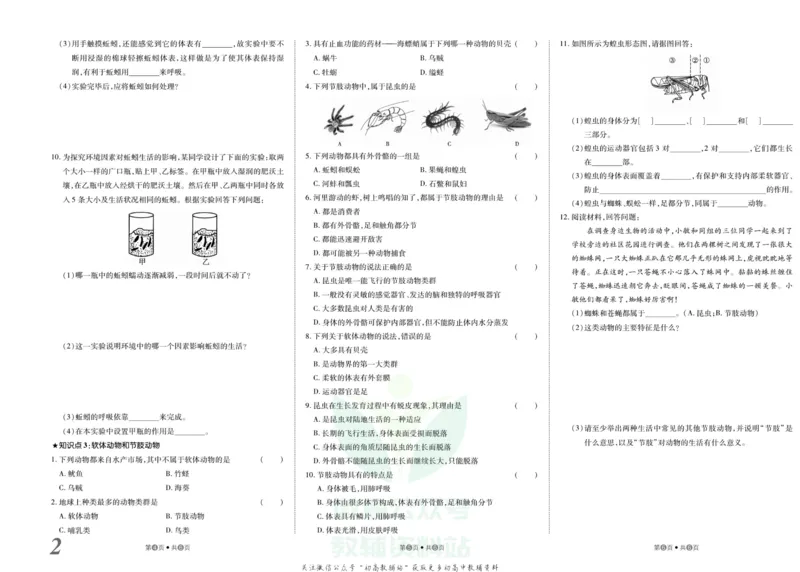 《金状元·提优好卷八年级上册生物人教版安徽专用_初中全科目同步习题+精品试卷（7-9年级）(1)_25秋初中生物《同步习题+精品试卷》_初中生物试卷（人教版）_《提优好卷》》第3页预览