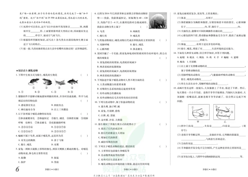 《金状元·提优好卷八年级上册生物人教版安徽专用_初中全科目同步习题+精品试卷（7-9年级）(1)_25秋初中生物《同步习题+精品试卷》_初中生物试卷（人教版）_《提优好卷》》第7页预览