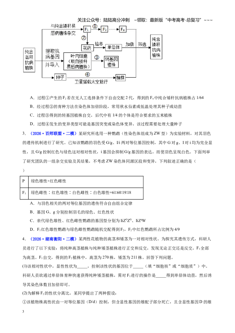 《专题04基因的传递规律（学生版）_06-生物-高考总复习_专项复习_2026年-生物高考专项复习_2026年高考生物二模试题分类汇编（湖南专用）-G292_2026版》第3页预览