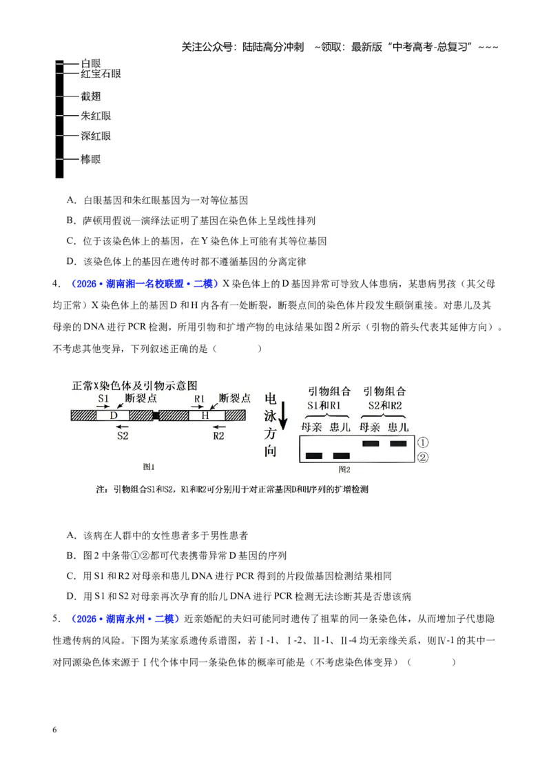 《专题04基因的传递规律（学生版）_06-生物-高考总复习_专项复习_2026年-生物高考专项复习_2026年高考生物二模试题分类汇编（湖南专用）-G292_2026版》第6页预览