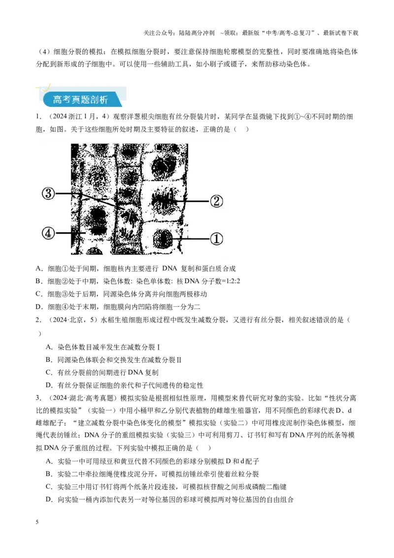 《专题03细胞生命历程相关实验包括减数分裂（学生版）_06-生物-高考总复习_专项复习_2025年_2025年高考生物教材实验梳理与突破_资料》第5页预览