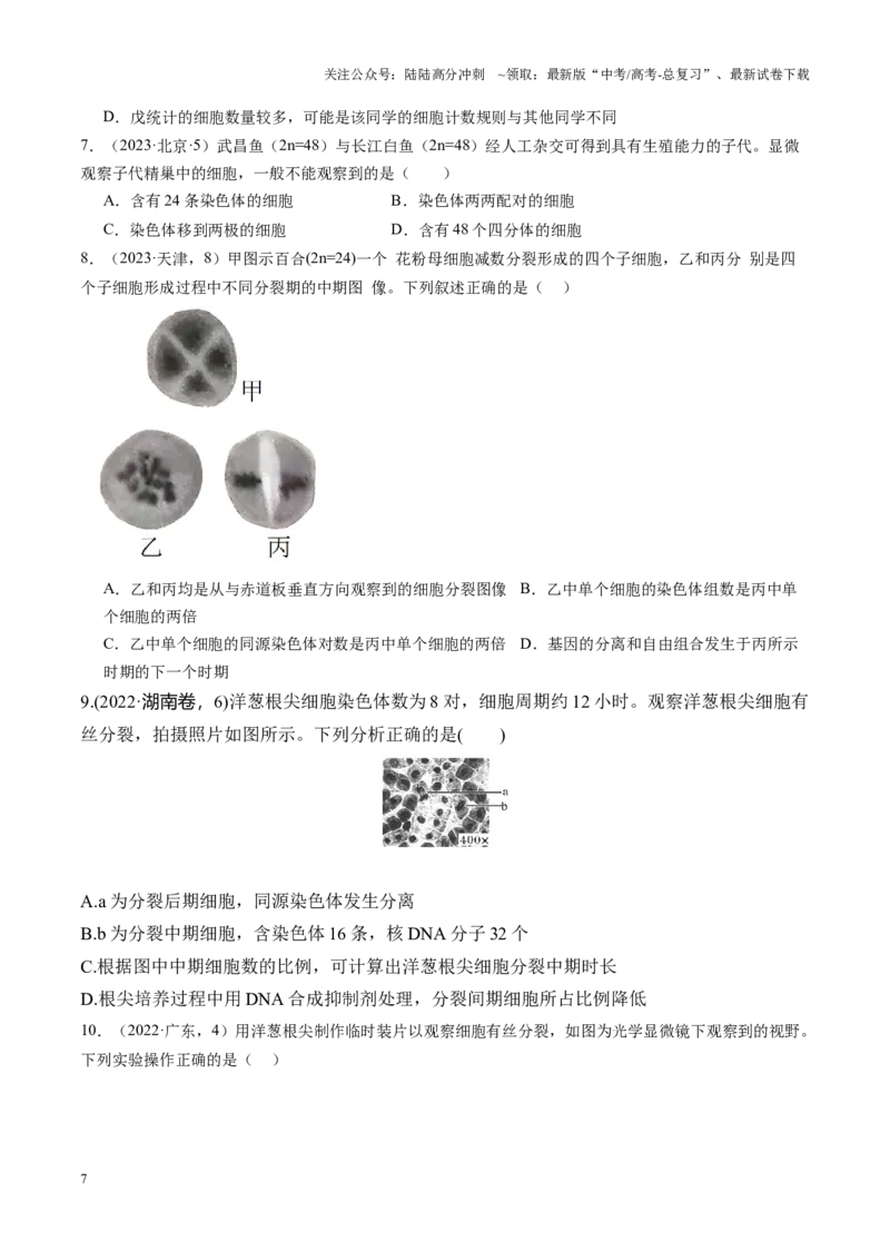 《专题03细胞生命历程相关实验包括减数分裂（学生版）_06-生物-高考总复习_专项复习_2025年_2025年高考生物教材实验梳理与突破_资料》第7页预览