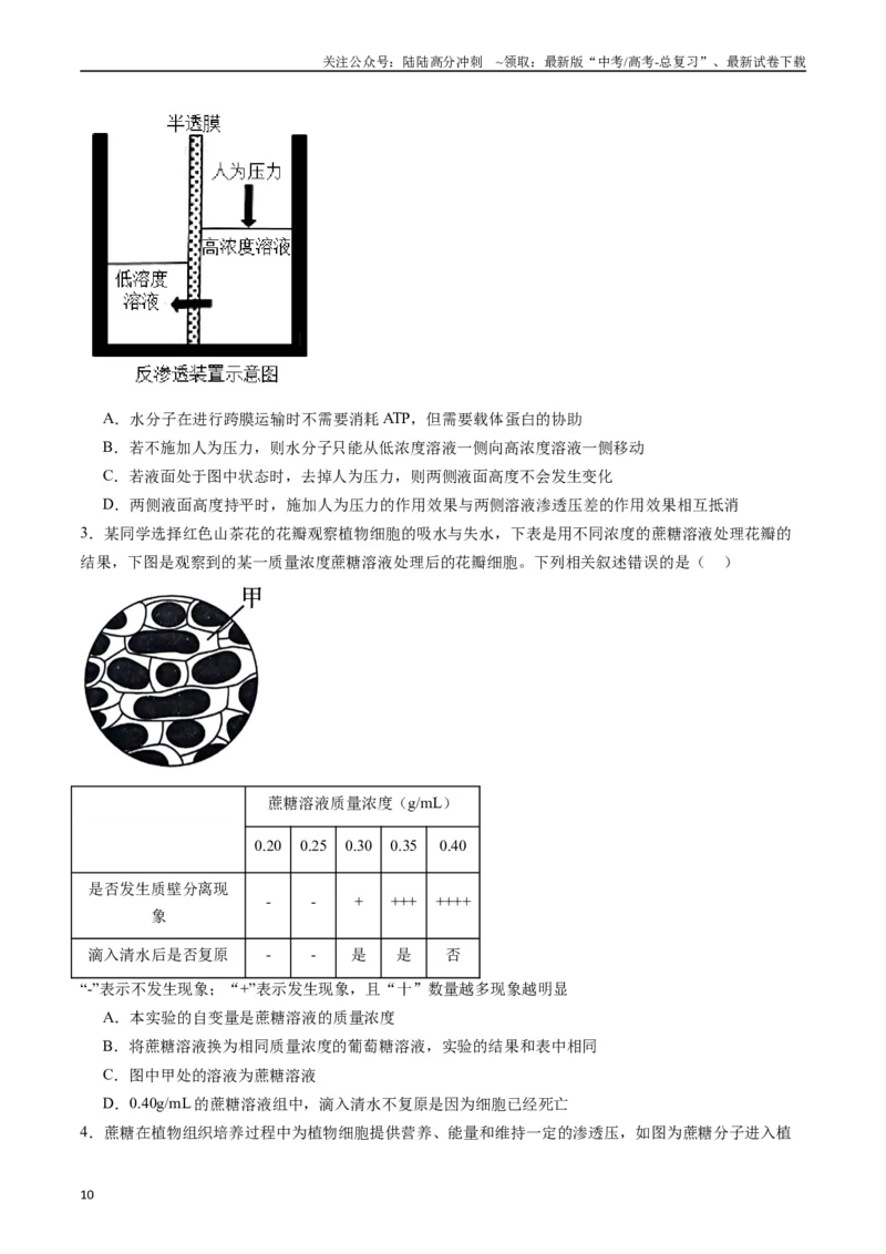 《专题03物质运输（原卷版）_06-生物-高考总复习_专项复习_2024年_2024年新高考生物复习热点考点真题模拟题必刷题练_资料》第10页预览