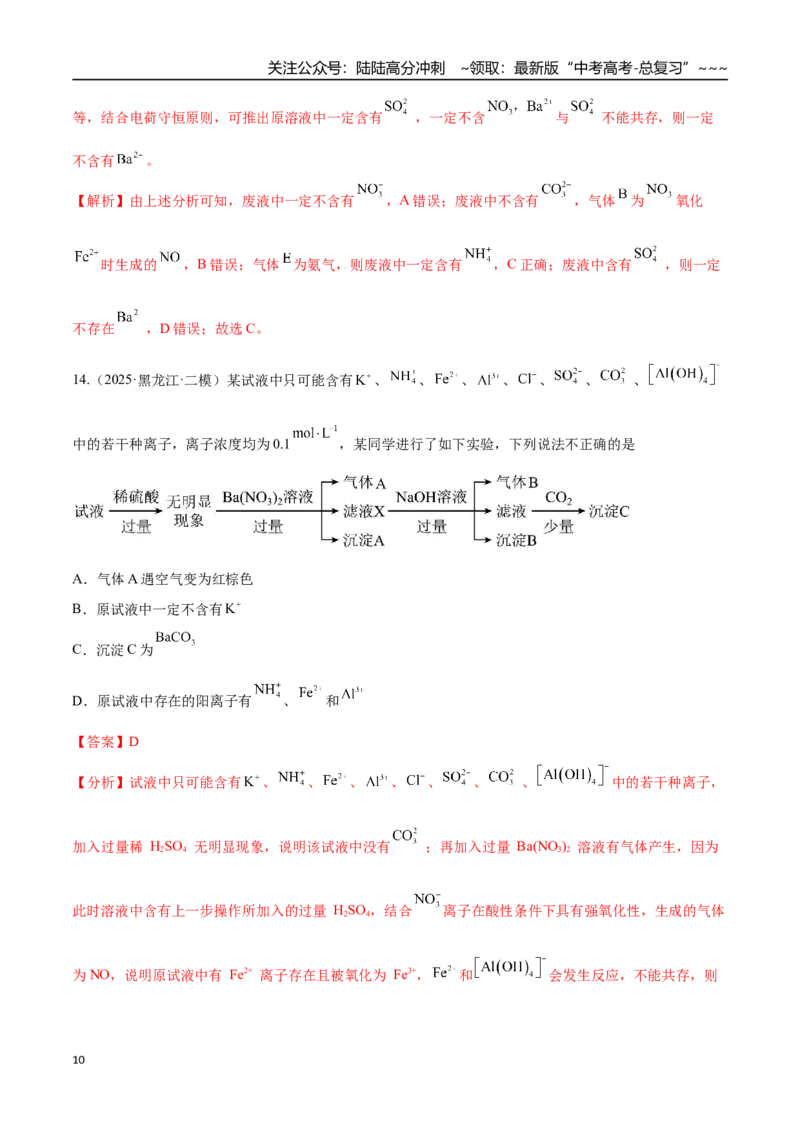 《第03讲离子共存、离子的检验与推断（专项训练）（黑吉辽蒙专用）（教师版）_05-化学-高考总复习_一轮复习_2026年-化学高考一轮复习》第10页预览