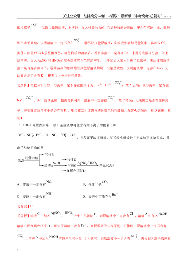 《第03讲离子共存、离子的检验与推断（专项训练）（黑吉辽蒙专用）（教师版）_05-化学-高考总复习_一轮复习_2026年-化学高考一轮复习》第9页预览