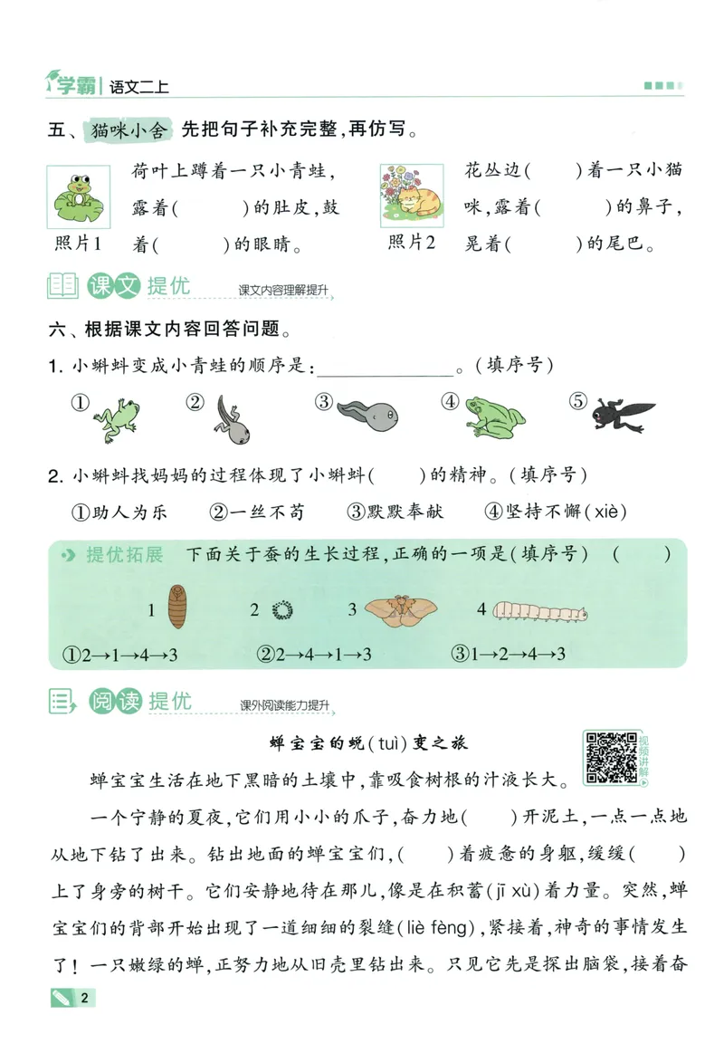 《主书语文2上_小初高学习资料合集（每天更新）_2026秋《5星学霸》1-6年级上册全科_26秋2上语文《五星学霸》》第10页预览