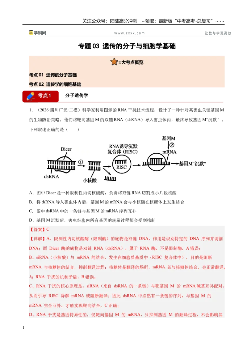 《专题03遗传的分子与细胞学基础（2大考点）（教师版）_06-生物-高考总复习_专项复习_2026年-生物高考专项复习_2026年高考生物二模试题分类汇编（四川专用）-G282_2026版》第1页预览