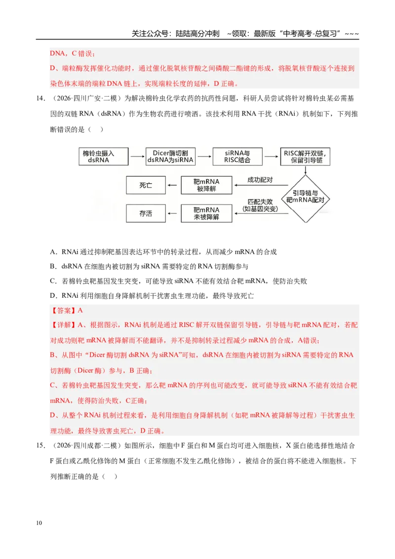 《专题03遗传的分子与细胞学基础（2大考点）（教师版）_06-生物-高考总复习_专项复习_2026年-生物高考专项复习_2026年高考生物二模试题分类汇编（四川专用）-G282_2026版》第10页预览