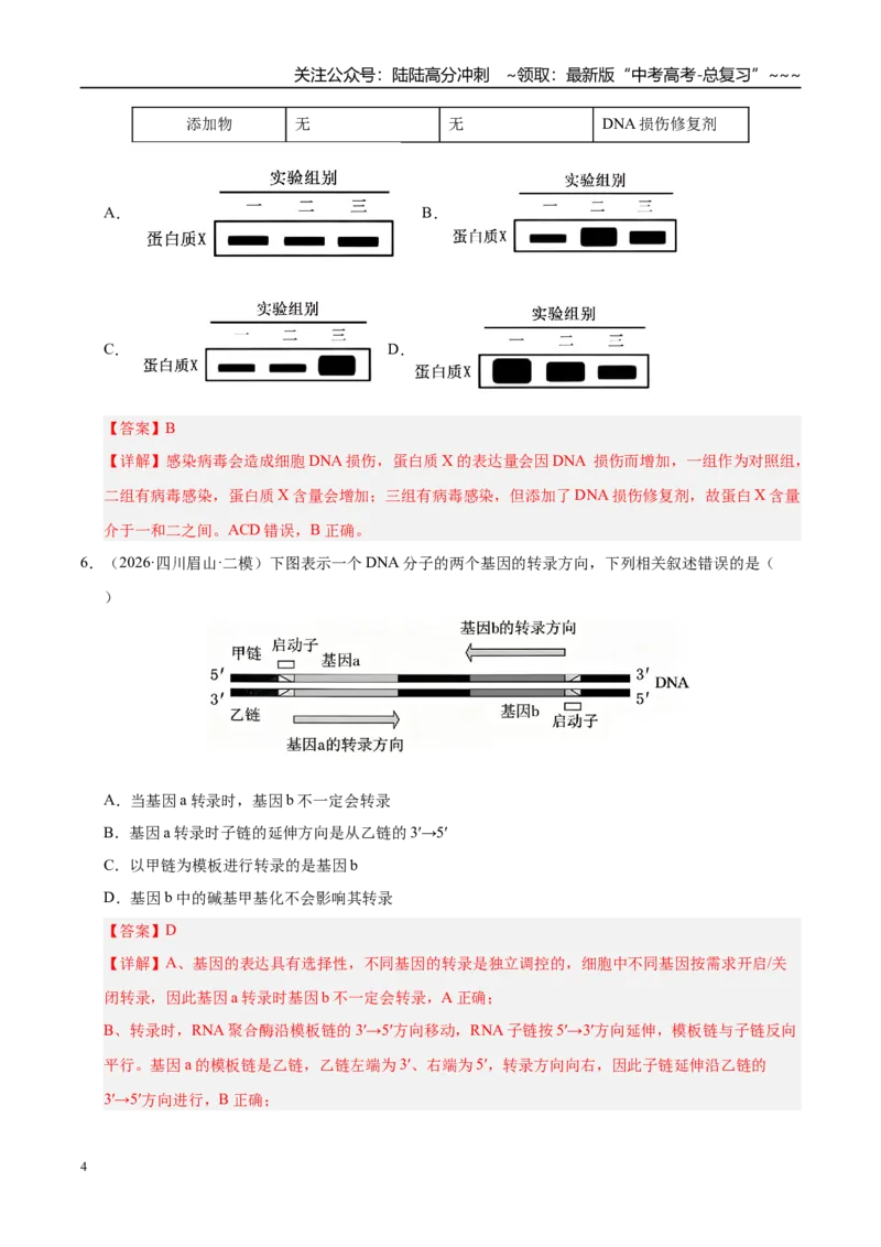 《专题03遗传的分子与细胞学基础（2大考点）（教师版）_06-生物-高考总复习_专项复习_2026年-生物高考专项复习_2026年高考生物二模试题分类汇编（四川专用）-G282_2026版》第4页预览