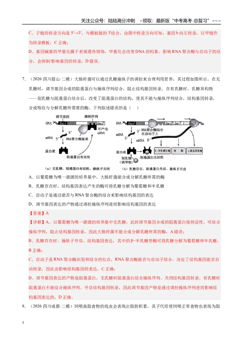 《专题03遗传的分子与细胞学基础（2大考点）（教师版）_06-生物-高考总复习_专项复习_2026年-生物高考专项复习_2026年高考生物二模试题分类汇编（四川专用）-G282_2026版》第5页预览