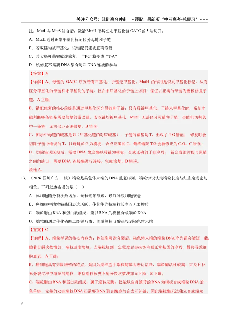 《专题03遗传的分子与细胞学基础（2大考点）（教师版）_06-生物-高考总复习_专项复习_2026年-生物高考专项复习_2026年高考生物二模试题分类汇编（四川专用）-G282_2026版》第9页预览
