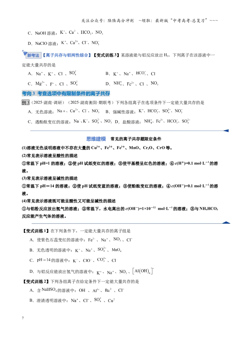 《第03讲离子共存、离子的检验与推断（复习讲义）（湖南专用）（学生版）_05-化学-高考总复习_一轮复习_2026年-化学高考一轮复习_2026年高考化学一轮课件+讲义+练习（湖南专用）-G331》第7页预览