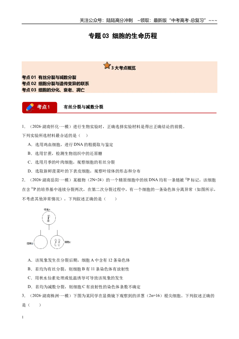 《专题03细胞的生命历程（3大考点）（学生版）_06-生物-高考总复习_专项复习_2026年-生物高考专项复习_2026年高考生物一模试题分类汇编（湖南专用）-G236_2026版》第1页预览