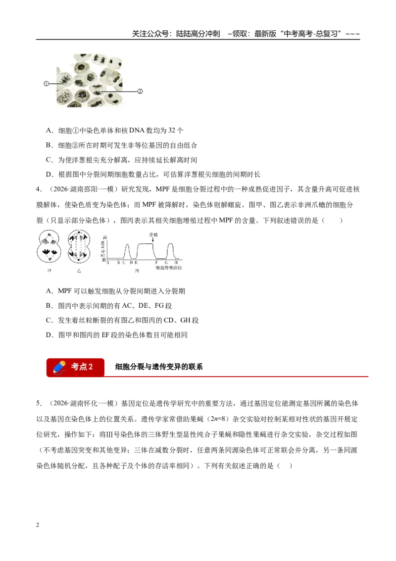 《专题03细胞的生命历程（3大考点）（学生版）_06-生物-高考总复习_专项复习_2026年-生物高考专项复习_2026年高考生物一模试题分类汇编（湖南专用）-G236_2026版》第2页预览