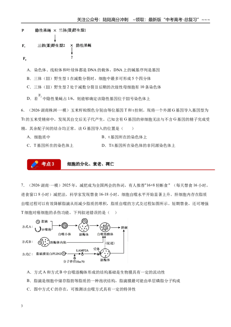 《专题03细胞的生命历程（3大考点）（学生版）_06-生物-高考总复习_专项复习_2026年-生物高考专项复习_2026年高考生物一模试题分类汇编（湖南专用）-G236_2026版》第3页预览