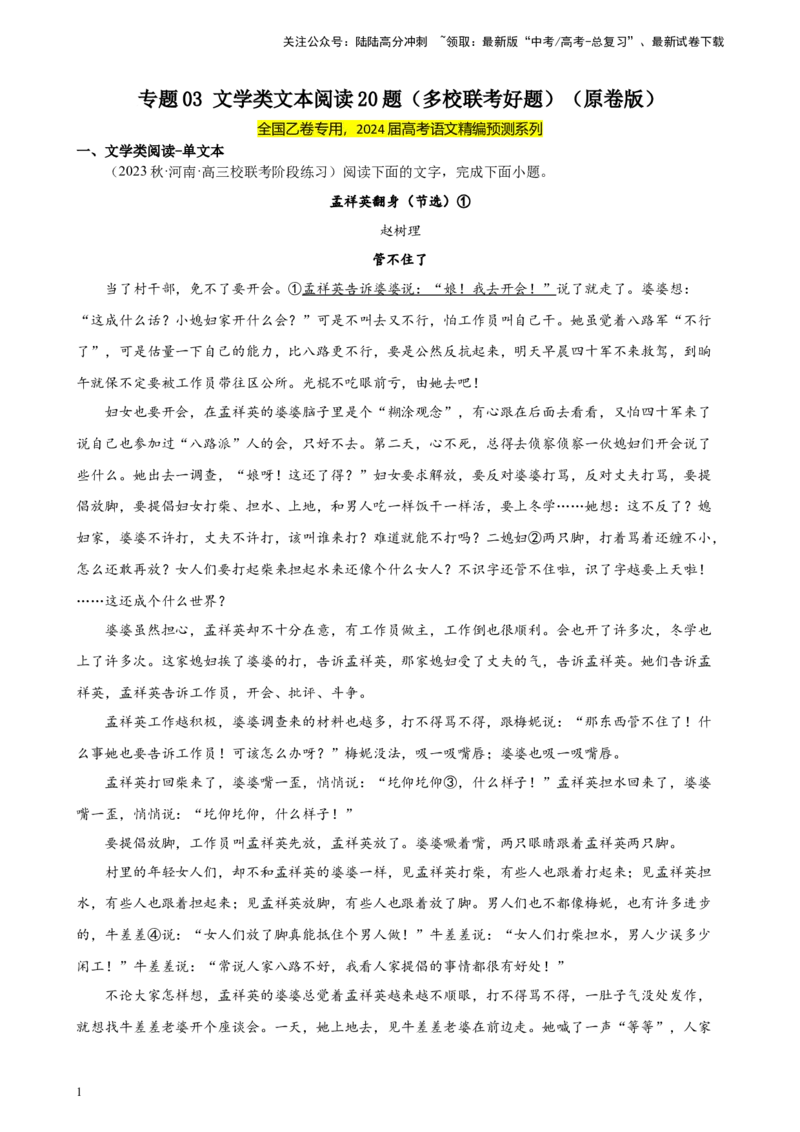 《专题03文学类文本阅读20题（多校联考好题）（全国乙卷）-（原卷版）_一轮复习_2025年_2025年新高考语文一轮复习题型专练习题试卷强化训练题_全国乙卷地区》第1页预览