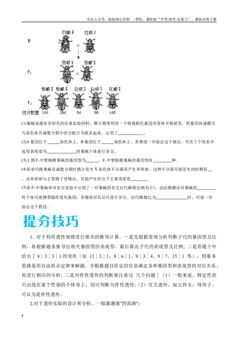 《专题04遗传规律的应用（江苏卷）（原卷版）_06-生物-高考总复习_专项复习_2024年_2024年高考生物考前大题秒杀技巧及专项训练_资料》第4页预览