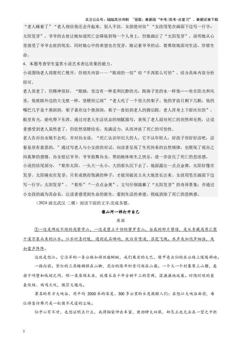 《专题03文学类文本阅读20篇（新高考地区专用）-（解析版）_专项复习_2024年_2024年高考语文重点题型终极预测_资料_1-资料》第5页预览