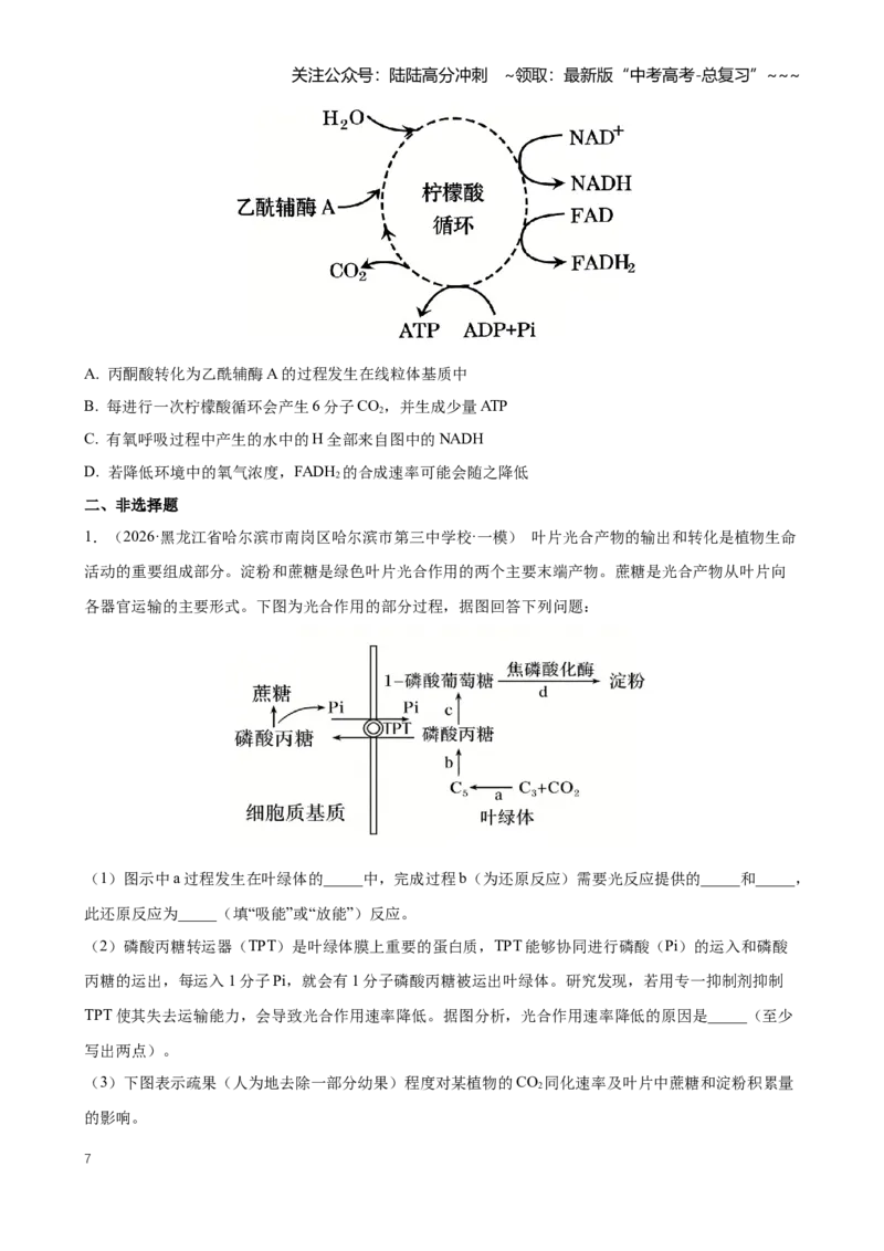《专题02细胞的能量供应和利用（学生版）_06-生物-高考总复习_专项复习_2026年-生物高考专项复习_2026年高考生物一模试题分类汇编（黑吉辽蒙专用）-G238_2026版》第7页预览