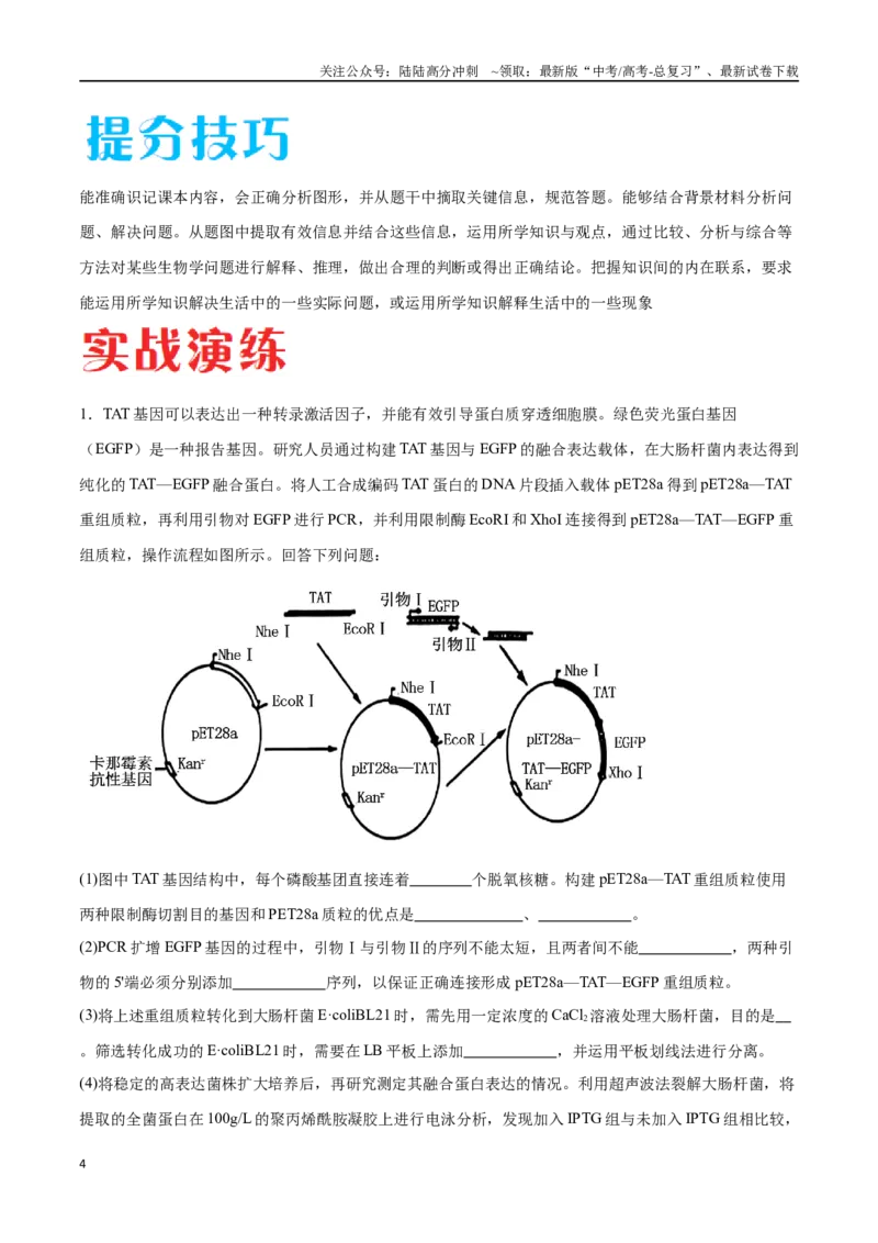 《专题05基因工程（河北卷）（原卷版）_06-生物-高考总复习_专项复习_2024年_2024年高考生物考前大题秒杀技巧及专项训练_资料》第4页预览