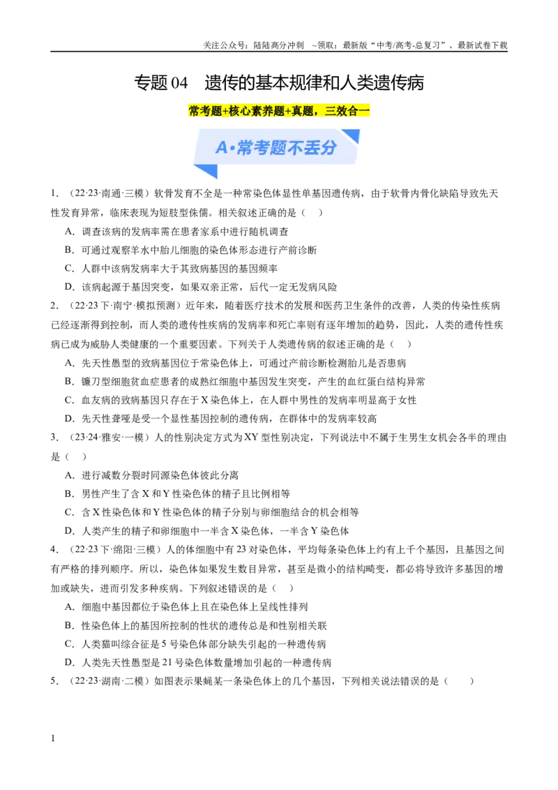 《专题04遗传的基本规律和人类遗传病（分层练）（原卷版）_06-生物-高考总复习_二轮复习_2024年_2024年高考生物二轮复习高频考点追踪与预测（新高考专用）_分层练》第1页预览
