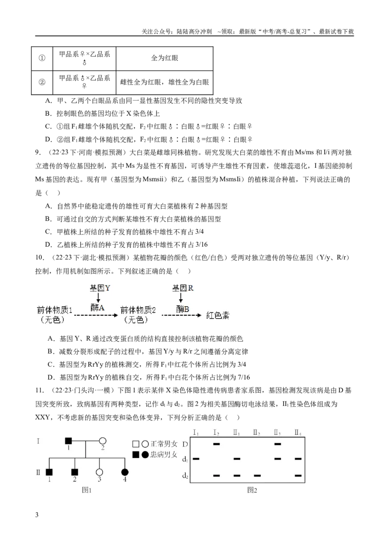 《专题04遗传的基本规律和人类遗传病（分层练）（原卷版）_06-生物-高考总复习_二轮复习_2024年_2024年高考生物二轮复习高频考点追踪与预测（新高考专用）_分层练》第3页预览
