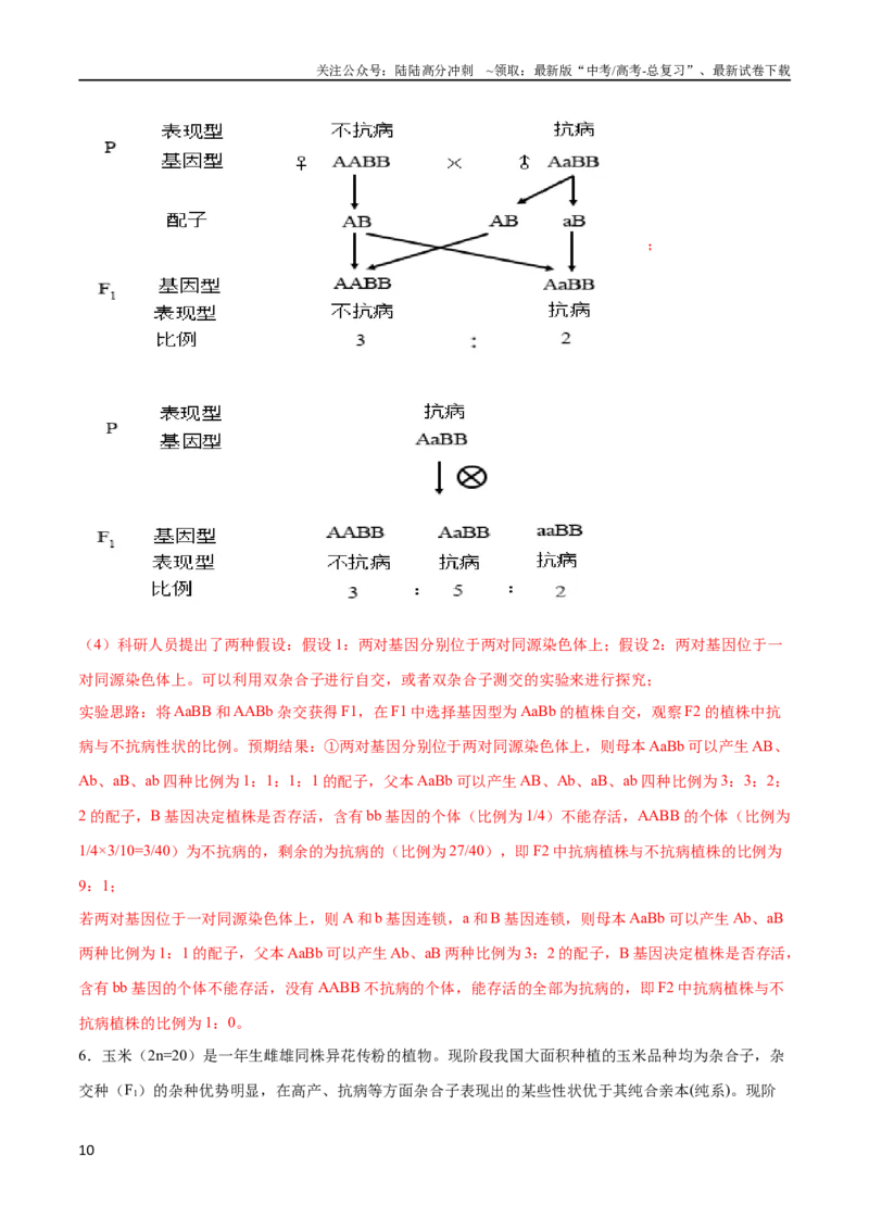 《专题03变异与育种（大题30道）（解析版）_06-生物-高考总复习_二轮复习_2024年_2024年高考生物二轮复习选择题大题压轴专项训练_资料》第10页预览