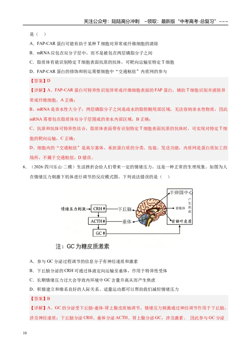 《专题05动物生命活动调节（2大考点）（教师版）_06-生物-高考总复习_专项复习_2026年-生物高考专项复习_2026年高考生物二模试题分类汇编（四川专用）-G282_2026版》第10页预览