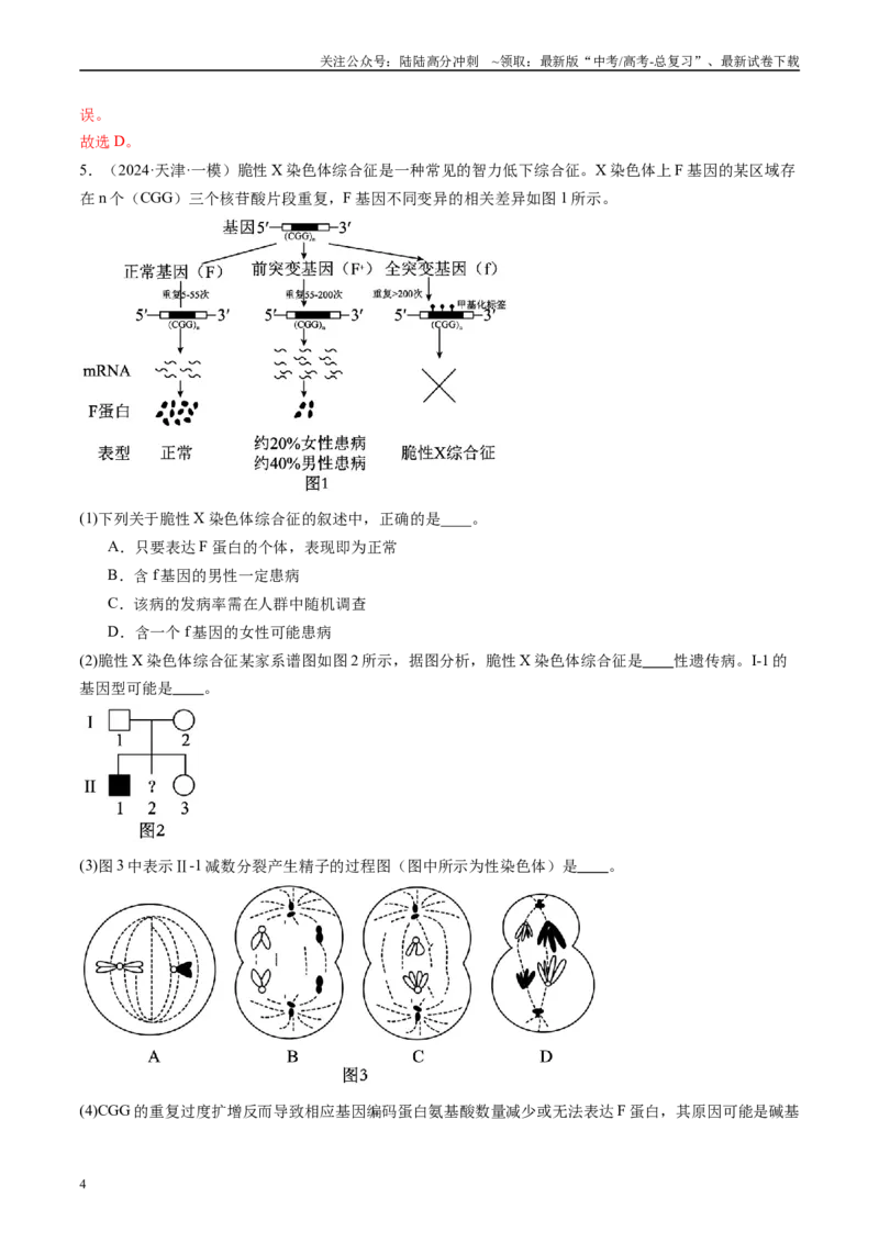 《专题05细胞的生命历程（解析版）_06-生物-高考总复习_专项复习_2025年_2024年高考一模试题分类汇编生物新高考通用》第4页预览
