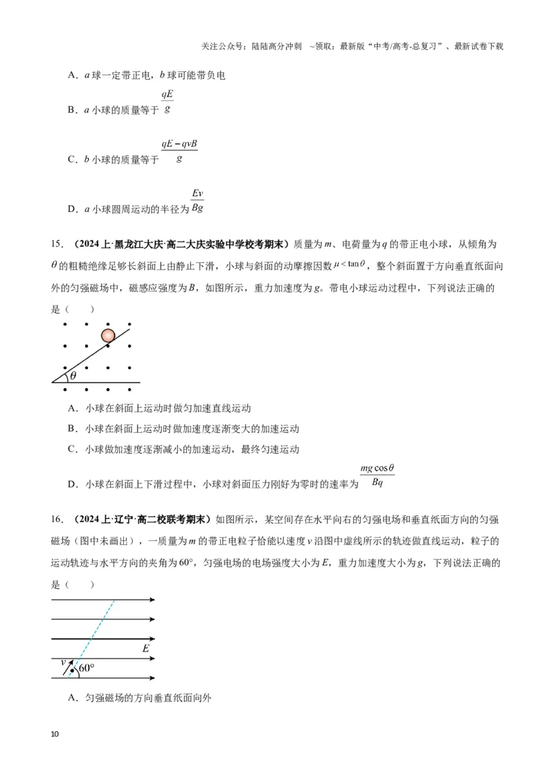 《专题05带电粒子在叠加场中运动模型（学生版）_04-物理-高考总复习_专项复习_2025年_2025年高中高考物理模型与方法_资料_3高中（全册）_选择性必修第二册》第10页预览