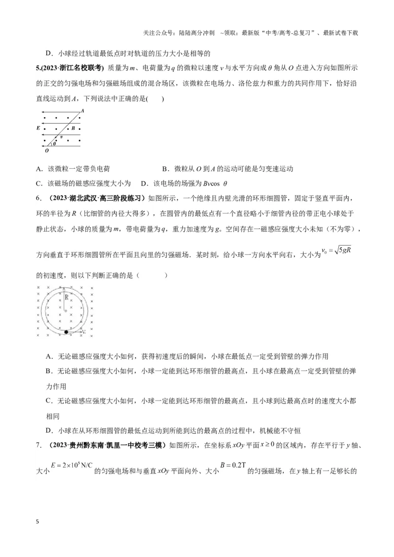 《专题05带电粒子在叠加场中运动模型（学生版）_04-物理-高考总复习_专项复习_2025年_2025年高中高考物理模型与方法_资料_3高中（全册）_选择性必修第二册》第5页预览