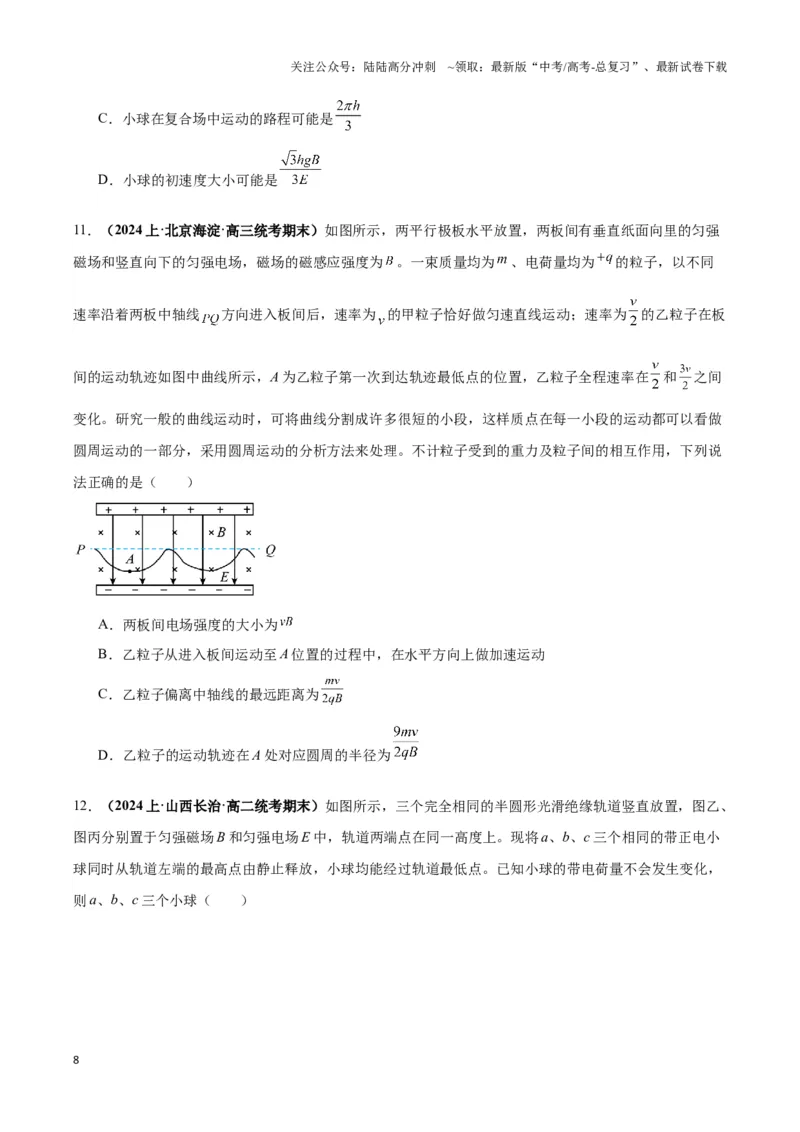 《专题05带电粒子在叠加场中运动模型（学生版）_04-物理-高考总复习_专项复习_2025年_2025年高中高考物理模型与方法_资料_3高中（全册）_选择性必修第二册》第8页预览