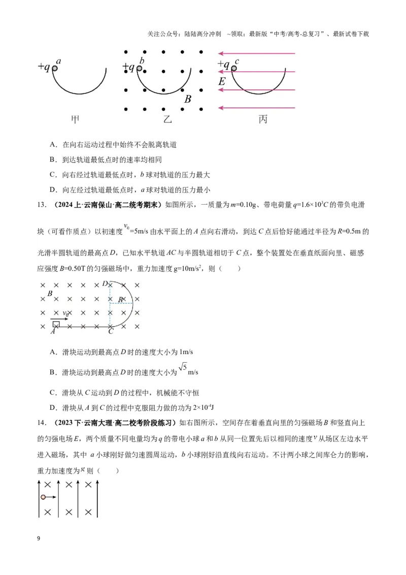 《专题05带电粒子在叠加场中运动模型（学生版）_04-物理-高考总复习_专项复习_2025年_2025年高中高考物理模型与方法_资料_3高中（全册）_选择性必修第二册》第9页预览