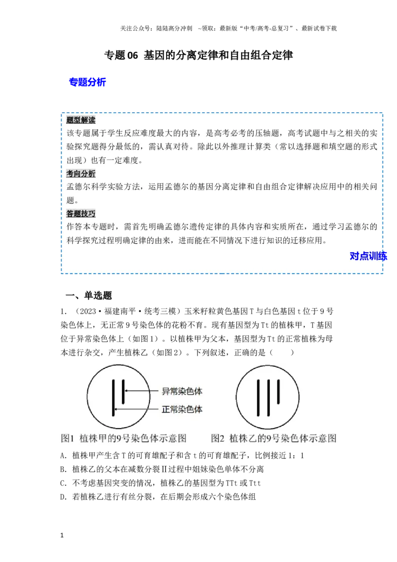《专题06基因的分离定律和自由组合定律（原卷版）_06-生物-高考总复习_一轮复习_2024年_2024年高考生物一轮复习重难点突破讲解与训练专题_资料》第1页预览