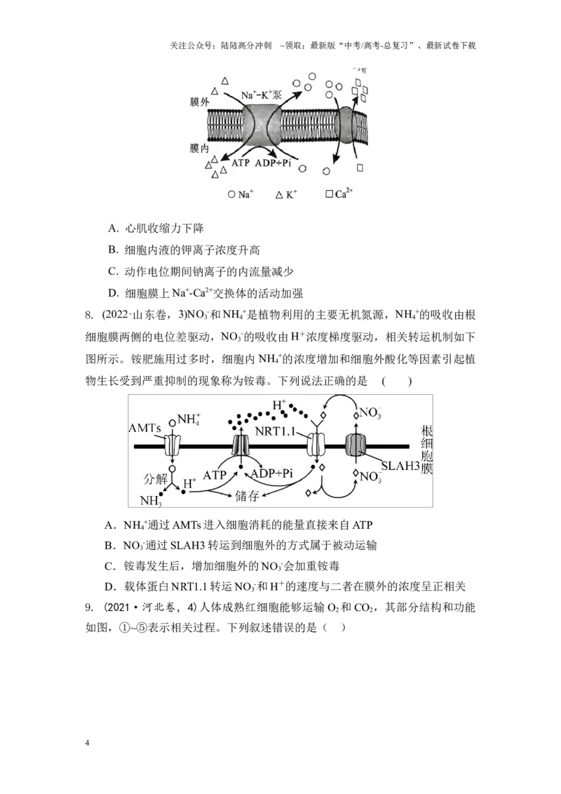 《专题03物质运输和能量供应（原卷版）_06-生物-高考总复习_专项复习_2024年_2024年高考生物真题分析高频考点归纳训练典例真题_资料》第4页预览