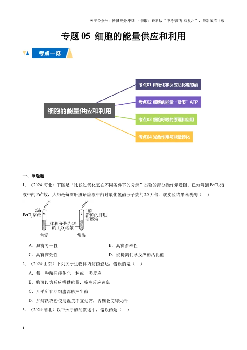 《专题05细胞的能量供应和利用（学生版）_06-生物-高考总复习_专项复习_2025年_2025年高中学业水平合格考生物真题分类汇编（全国通用）》第1页预览