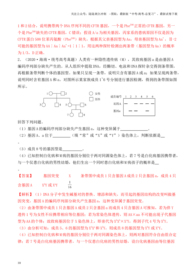 《专题03基因位置的探究（解析版）_06-生物-高考总复习_专项复习_2024年_2024年高考生物热点实验分析预测题型归纳重难讲解_资料》第10页预览